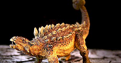 Datos De Ankylosaurus: Animales Extintos Del Mundo