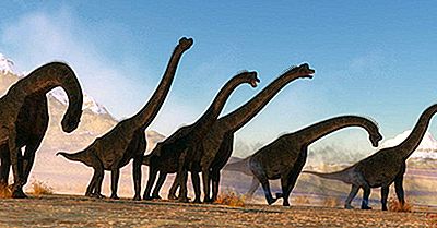 Datos De Brachiosaurus: Animales Extintos Del Mundo