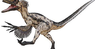 Faits Deinonychus: Animaux Éteints Du Monde