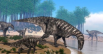 Fatos Iguanodon: Animais Extintos Do Mundo