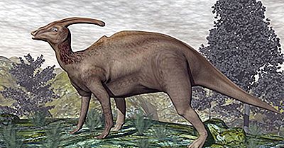 Parasaurolophus Facts: Estinti Animali Del Mondo