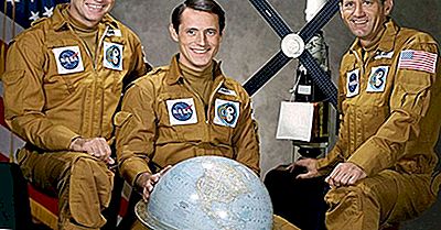 Skylab Motiny: A Única Greve Conhecida No Espaço