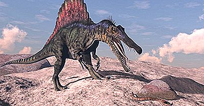 Spinosaurus Fakten: Ausgestorbene Tiere Der Welt