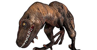 Datos De Velociraptor: Animales Extintos Del Mundo