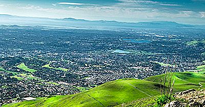 Qu'Est-Ce Que L'Idéologie Californienne?