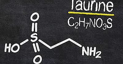 ¿De Dónde Viene Taurine?