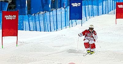 Jeux Olympiques D'Hiver: Ski Acrobatique
