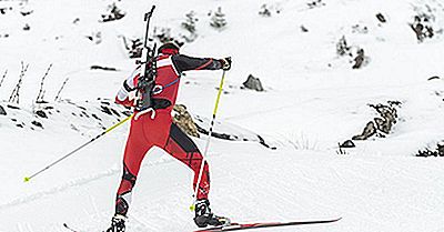 Vinter Olympiska Spelen: Vad Är En Skidskytte?