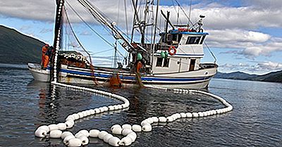 Tout Sur L'Industrie De La Pêche