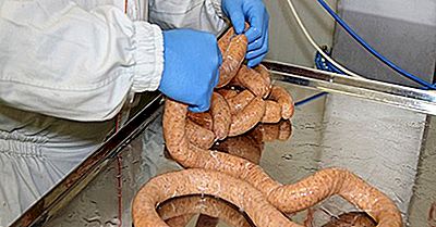 Tudo Sobre A Indústria De Processamento De Carne