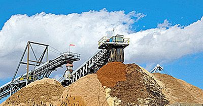 Todo Sobre La Industria De La Celulosa Y El Papel