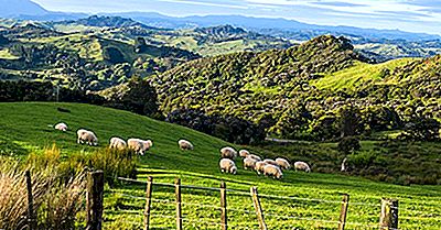 Las Industrias Más Grandes En Nueva Zelanda