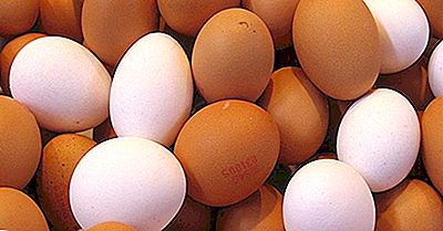 Provincias Canadienses Por El Número De Huevos Producidos