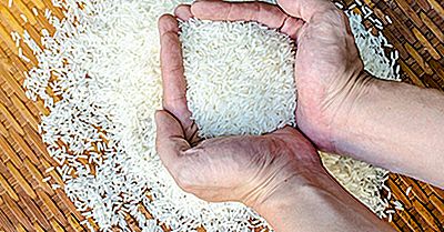 Países Que Exportan La Comida Más Baja Del Mundo