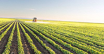 Pays Les Plus Dépendants De L'Agriculture