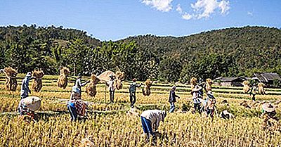 A Economia Da Tailândia