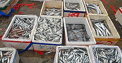 Principali Paesi Nei Raccolti Di Pesca E Acquacoltura