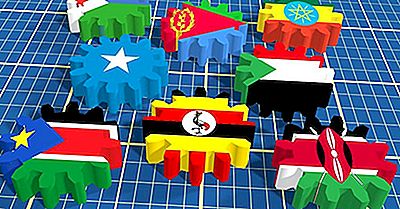 Store Regionale Økonomiske Organisasjoner I Afrika