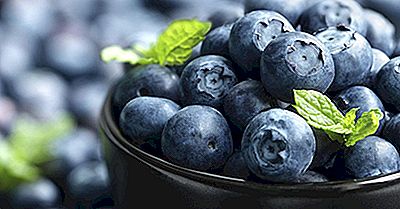 Top 10 Blueberry Producerende Stater I Amerika