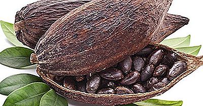 I Primi 10 Paesi Produttori Di Cacao