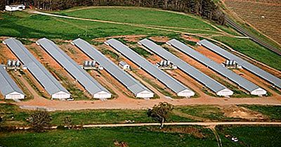 Los 15 Principales Países Exportadores De Carne Y Despojos De Aves De Corral