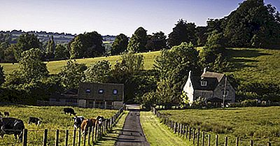 De 20 Største Landbrugsprodukter I Det Forenede Kongerige