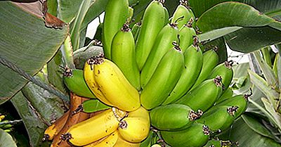 Topbananen Die Landen Ter Wereld Produceren