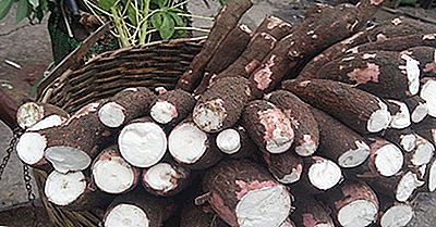 Top Cassava Producerende Lande I Verden