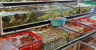 Top Fisch Und Meeresfrüchte Exportierende Länder