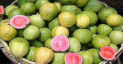 Guava - beneficii și daune pentru corpul uman