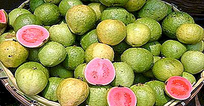 Top Guava Producerende Landen Ter Wereld