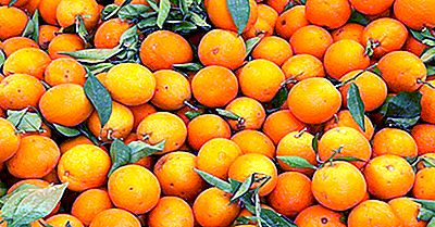 Top Orange-Producerende Landen Ter Wereld