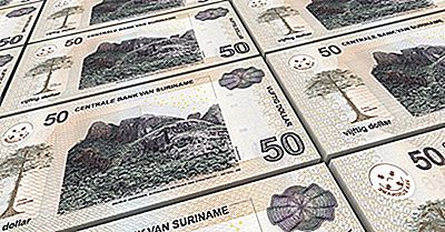 Hvad Er Valutaen I Surinam?