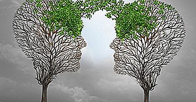 Was Ist Georgismus (Geoismus) In Der Wirtschaft?