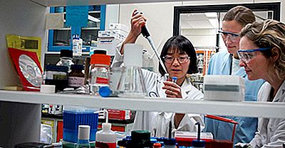 Quelles Sont Les Plus Grandes Sociétés De Biotechnologie Au Monde?