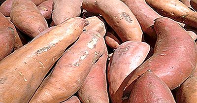 Líderes Mundiais Na Produção De Inhame