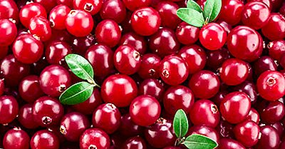 Die Größten Cranberry-Produzenten Der Welt