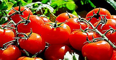 I Principali Produttori Mondiali Di Pomodori