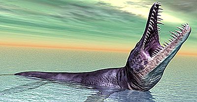 8 Animais Pré-Históricos Surpreendentes (Quem Não São Dinossauros)