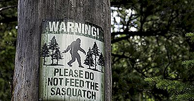 Bigfoot E Outros Contos Do Folclore Da Floresta