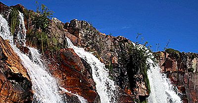 El Punto De Acceso A La Biodiversidad Del Cerrado