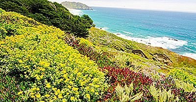 Die Biodiversitäts-Hotspots In Nord- Und Mittelamerika Gefunden