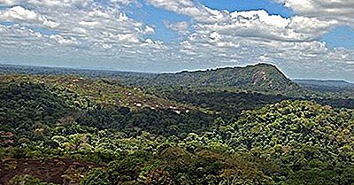 Reserva Natural Do Suriname Central