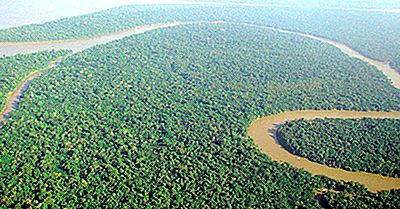 Landen Die Het Amazone-Regenwoud Delen