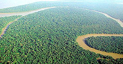 Länder Som Delar Amazonas Regnskog