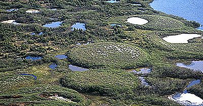 Kryogena Landformer: Vad Är Palsas?