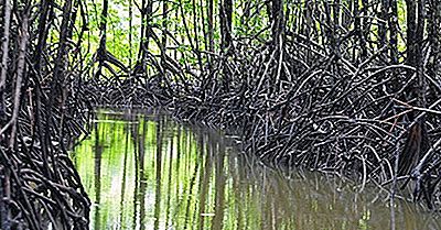 Regioni Ecologiche Della Costa Rica