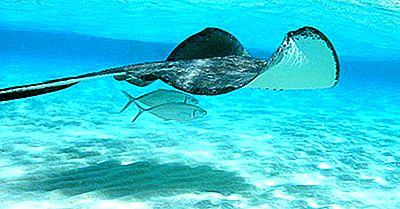 Regiões Ecológicas De Cuba