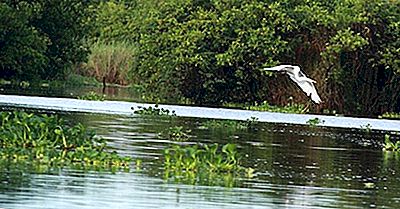 Regioni Ecologiche Del Guatemala