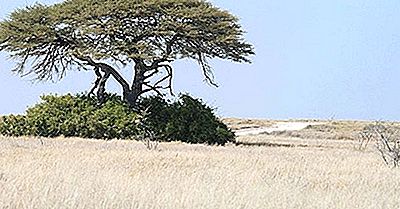 Ekologiske Regioner I Namibia